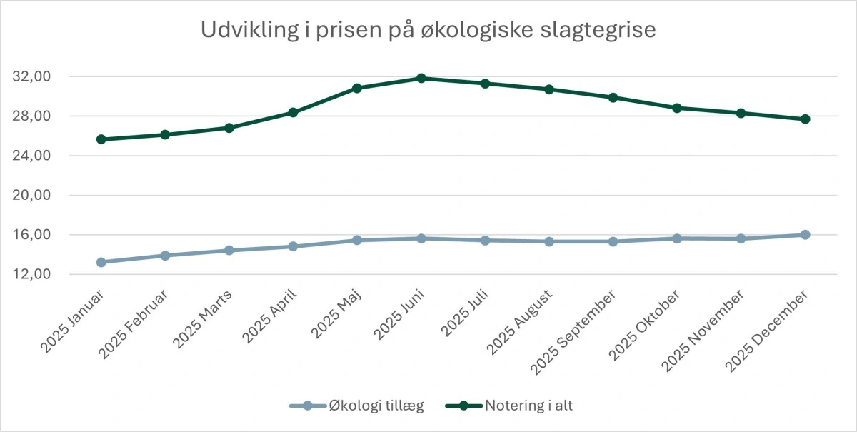 Figur 2: Udvikling i økologitillægget og samlet notering for økologiske slagtegrise i 2025, kr./kg. Kilde: Farmtal-Online og Friland
