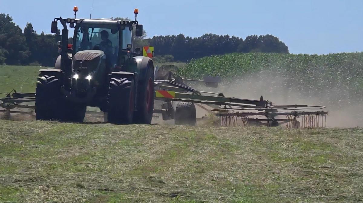 Slætgræsset er meget modent - næsten hø - og markens jordoverflade så ujævn at det støver ret voldsomt efter riven.
