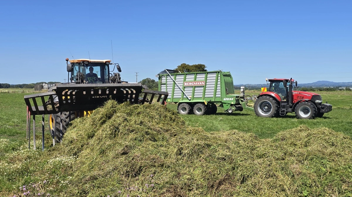 Første læs slætgræs er læsset af hjemme hos kunden på en græsmark. - De newzealandske landmænd lægger ofte ensilagestakken direkte på jorden uden bund – måske blot gravet ud i siden af en jordhøj, fortæller Emil Vejnø.