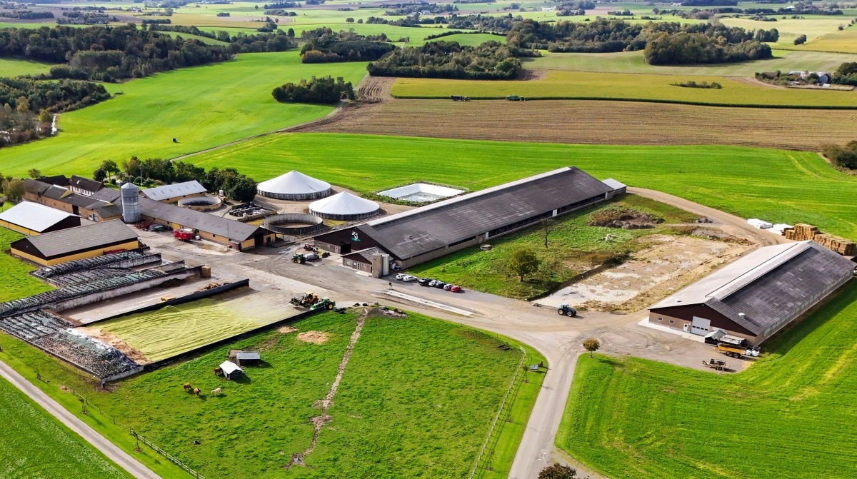 Lige nu er der 439 landbrug til salg via Landbrugsmarkedet.dk, blandt dem Borndal, der ses på billedet her, og som koster 140 millioner. Men trods faldende afregningspriser på gris og mælk, er økonomien blevet sådan i landbruget, at det ikke kommer til at gå ud over efterspørgslen, mener Christian Schulin-Zeuthen fra Landbrugsmæglerne. Arkivfoto: Landbrugsmæglerne ApS