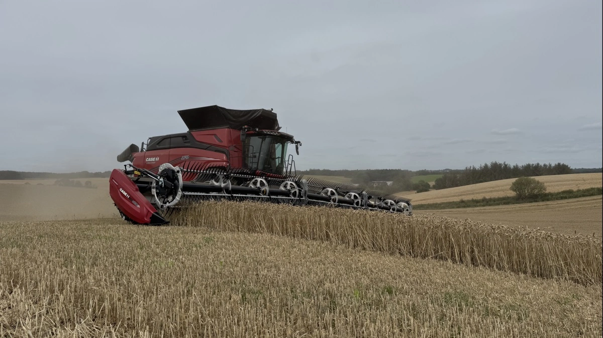 Det var ikke kun i Danmark, at hvedehøsten var rigtig god sidste år. Og det kan ses i de internationale hvedepriser nu. Arkivfoto: Kasper Stougård
