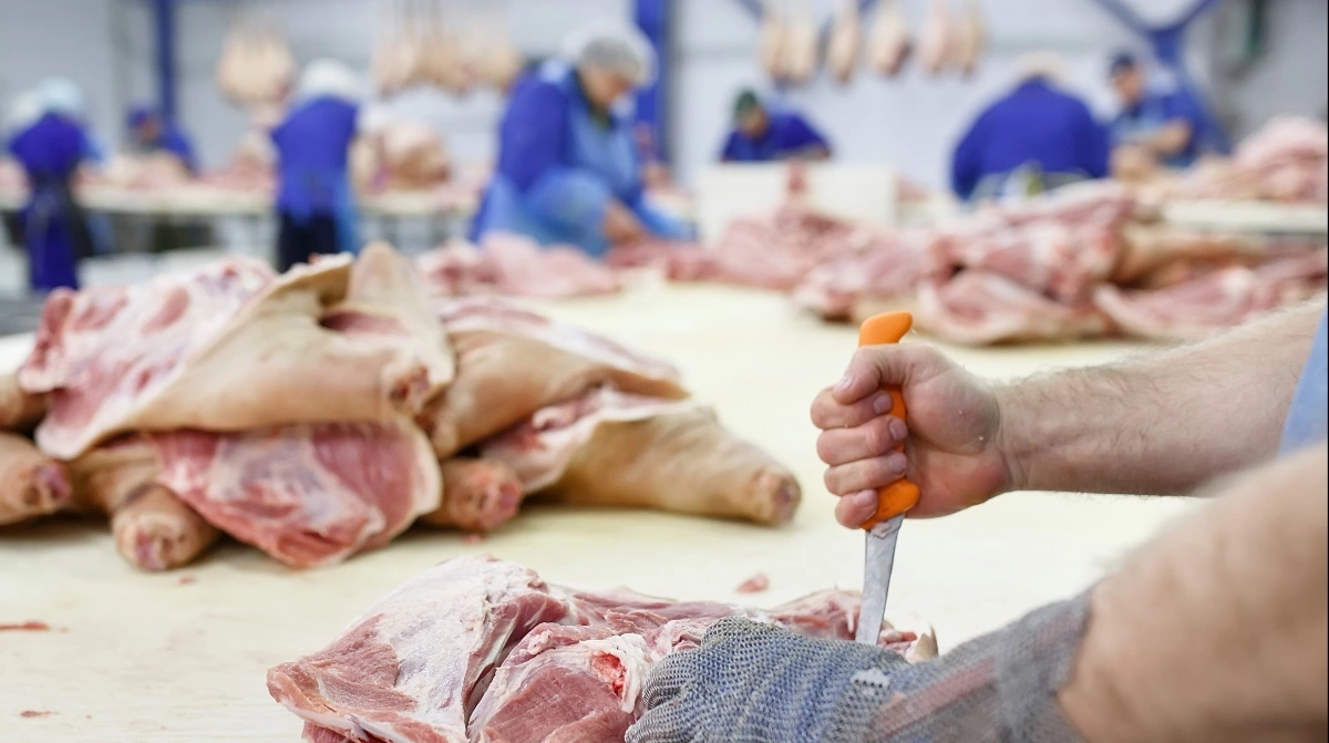 Eksporten af svinekød fra Brasilien er i løbet af det seneste par år steget fra 1.088.338 tons i 2023 til 1.321.935 tons sidste år. Arkivfoto: Colourbox