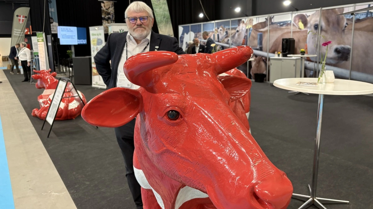 Kjartan Poulsen fra Landsforeningen af Danske Mælkeproducenter ønsker sig et sikkerhedsnet for mælkeprisen.