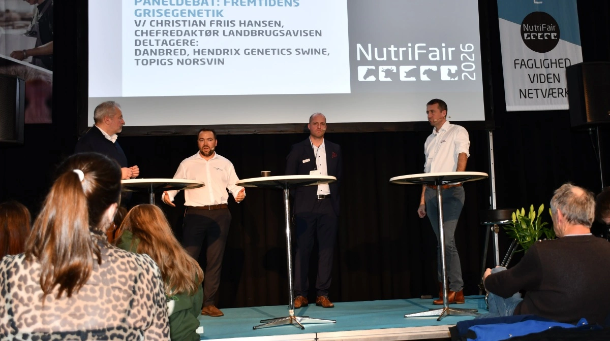 Panelet under formiddagens debat på Scene 2 på NutriFair: Mads Kring, Hendrix Genetics Swine, Karl Johan Klit Møller, Topigs Norsvin og Martin Mølgaard Pedersen, DanBred. Fotos: Camilla Bønløkke