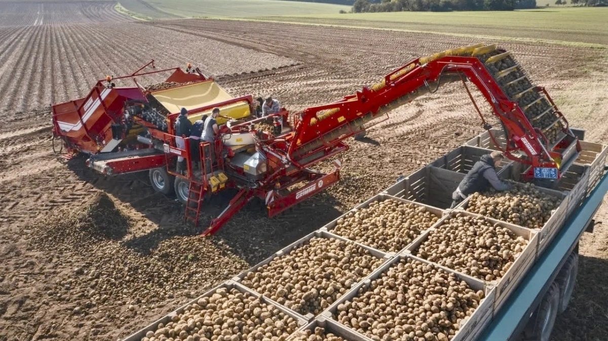 Den mobile Grimme Cleanloader, som på få minutter kan flyttes fra mark til mark, er forsynet med inspektionsplatforme på begge sider af rensebåndet med plads til fire personer. Fabriksfoto