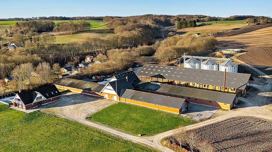 Driftsbygningerne på Kildemark har tidligere været anvendt til svineproduktion, men er i dag indrettet til planteavl, lager og tørring. I baggrunden ses kornsiloanlægget med tre siloer. Foto: EDC Videbæk