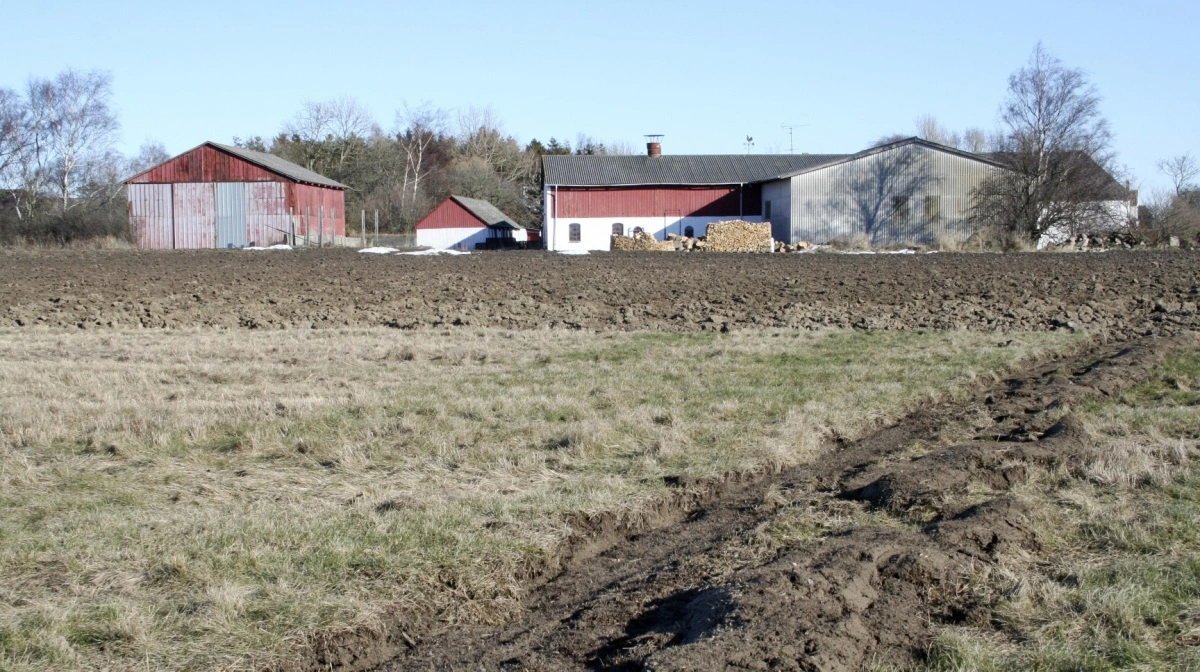 - Hvis 2024 var året, hvor markedet fandt fodfæste på et højt niveau, så ligner 2025 i stigende grad året, hvor jordpriserne igen begynder at marchere fremad, skriver cheføkonom i Agrocura, Jens Schjerning, i analysen. Arkivfoto