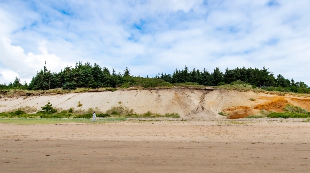 Her ses Gulebjerg i Marbæk, der ligger ved kysten ud mod Ho Bugt. Pressefoto