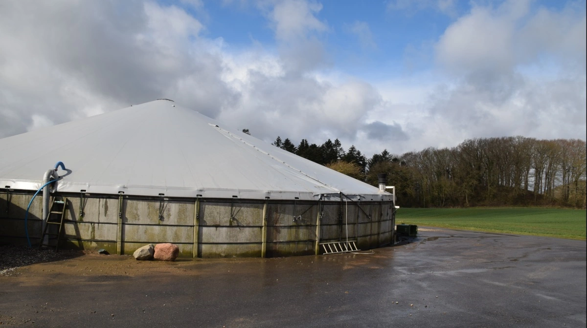 I næste måned vil Vejen Kommune kontrollere, hvor meget kapacitet, der er i landmændenes gylletanke. Arkivfoto: Anne Wolfenberg