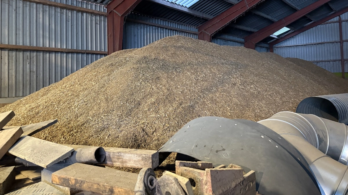Bunken af roefrø ender via DLF i Egypten, hvor man har bygget verdens største sukkerfabrik.