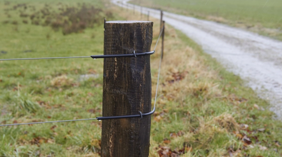 Arkivfoto: Tenna Bang