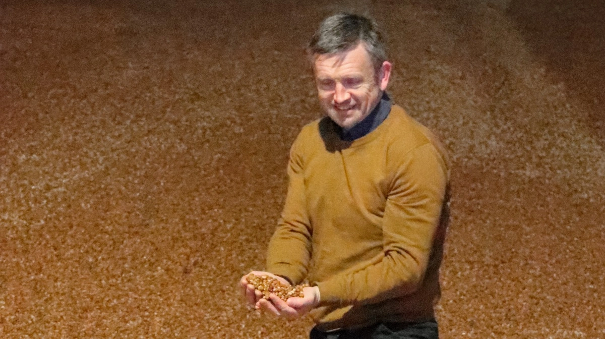 Eksportchef ved Hornsyld Købmandsgaard, Søren Kræn Pedersen, oplever, at der er stor efterspørgsel på hestebønner, som kan anvendes til mange forskellige formål. Foto: AgriKom