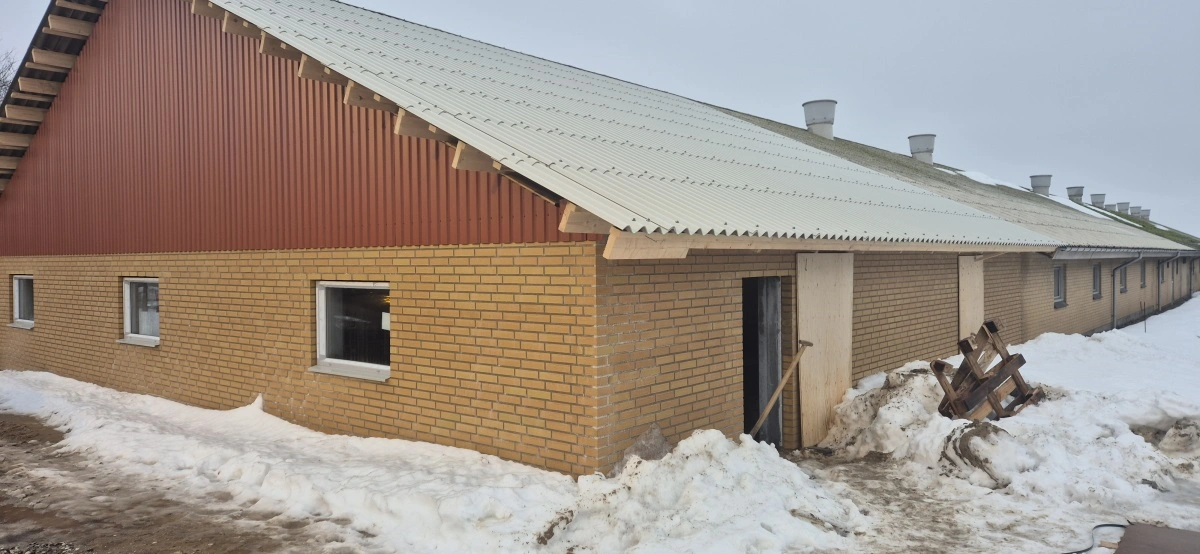 Det har været afgørende for Troels Andersen, at fortsætte i gule sten. Her ses den nye farestaldssektion, hvor grisene flytter ind til marts.