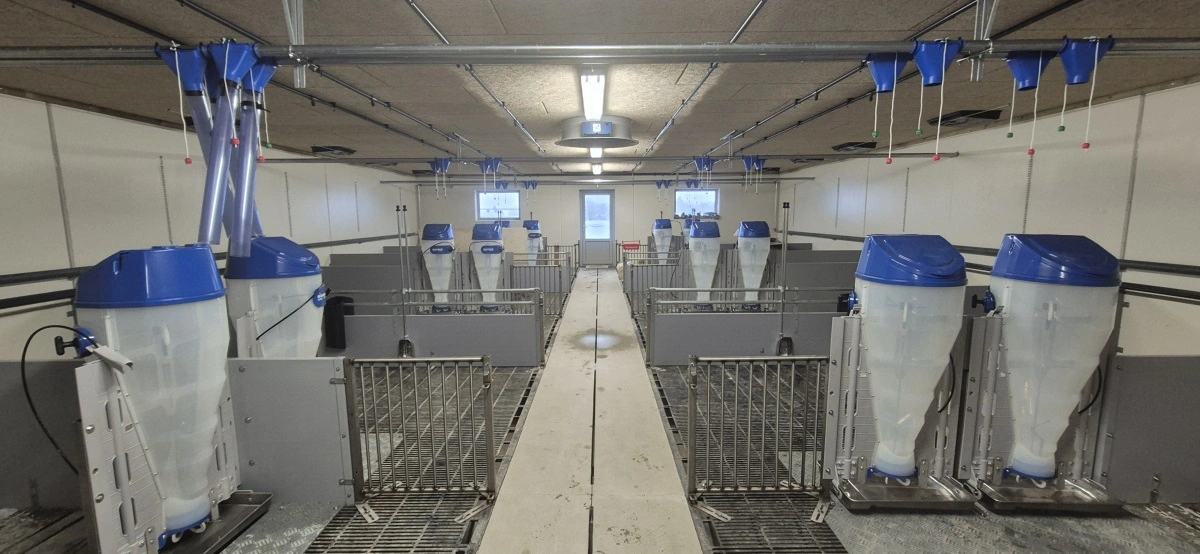 Den nye klimastald rummer fire sektioner med plads til 2.100 smågrise fra fravænning og frem til, de sælges ved 30 kg.