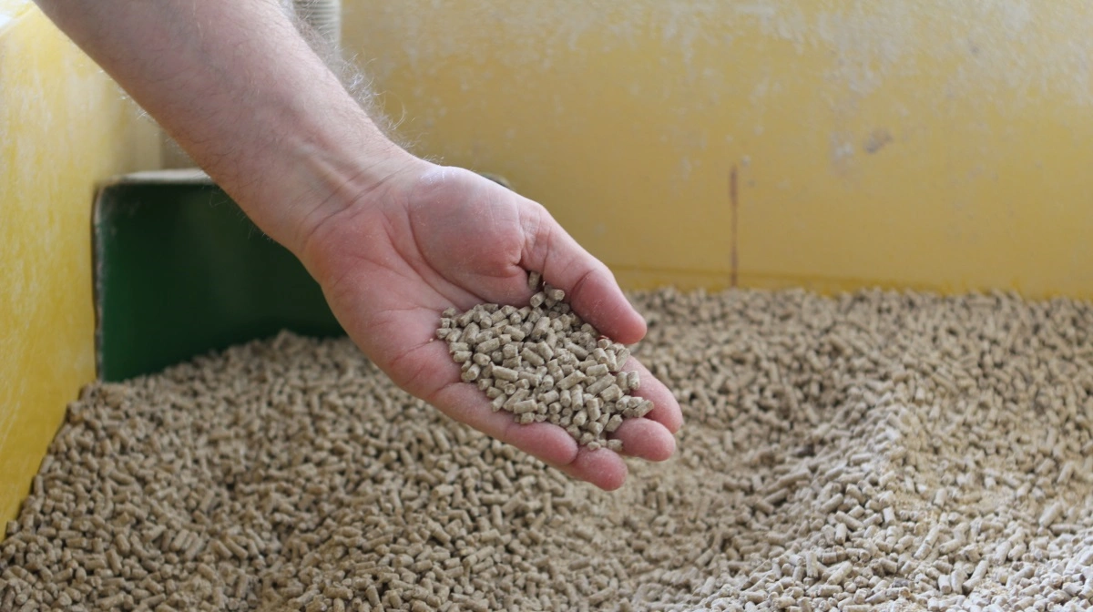 Arkivfoto: Anne Wolfenberg