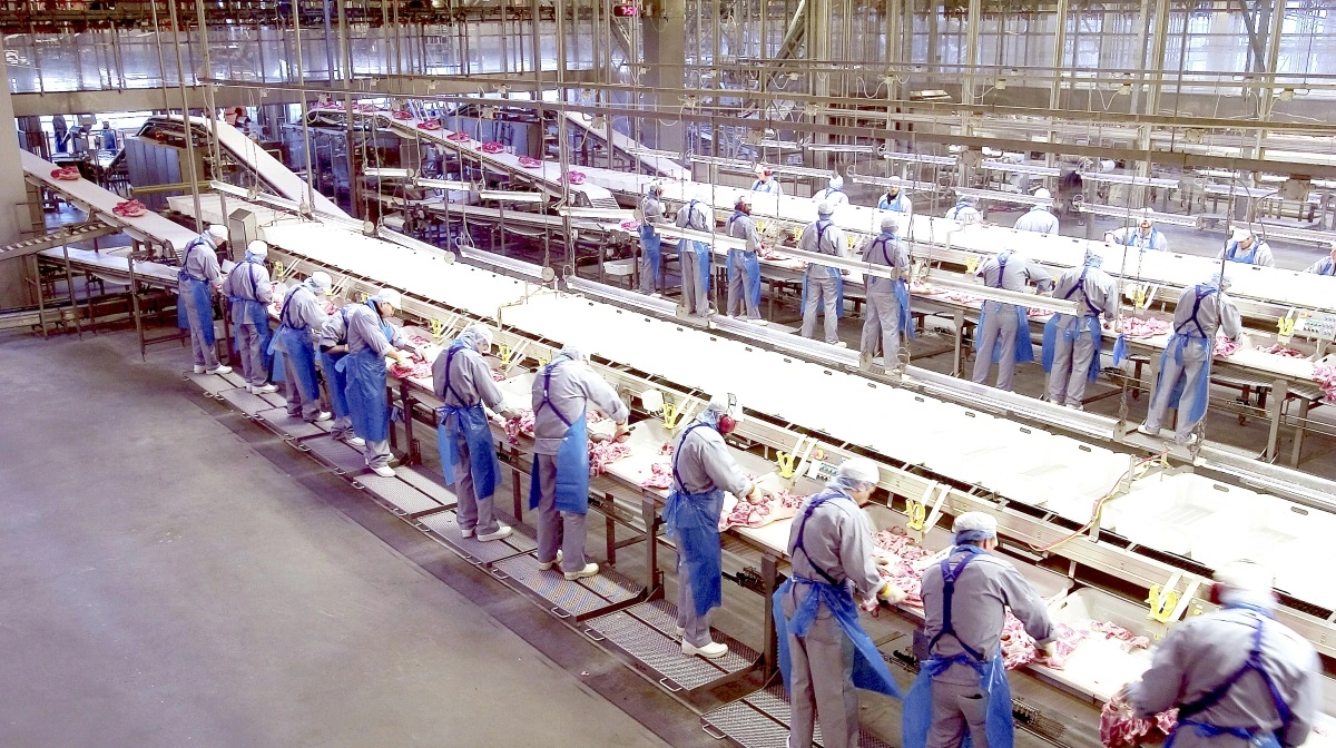 Der har været godt gang i knivene på de danske slagterier. Og mere af det fersk/frosne kød er havnet i Taiwan, viser nye tal. Arkivfoto: Claus Haagensen/Chili