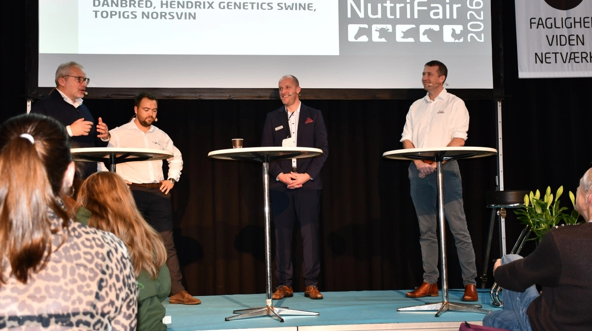 Under sidste uges NutriFair satte messens arrangører avlsselskaberne i stævne til en debat om svineproduktion.