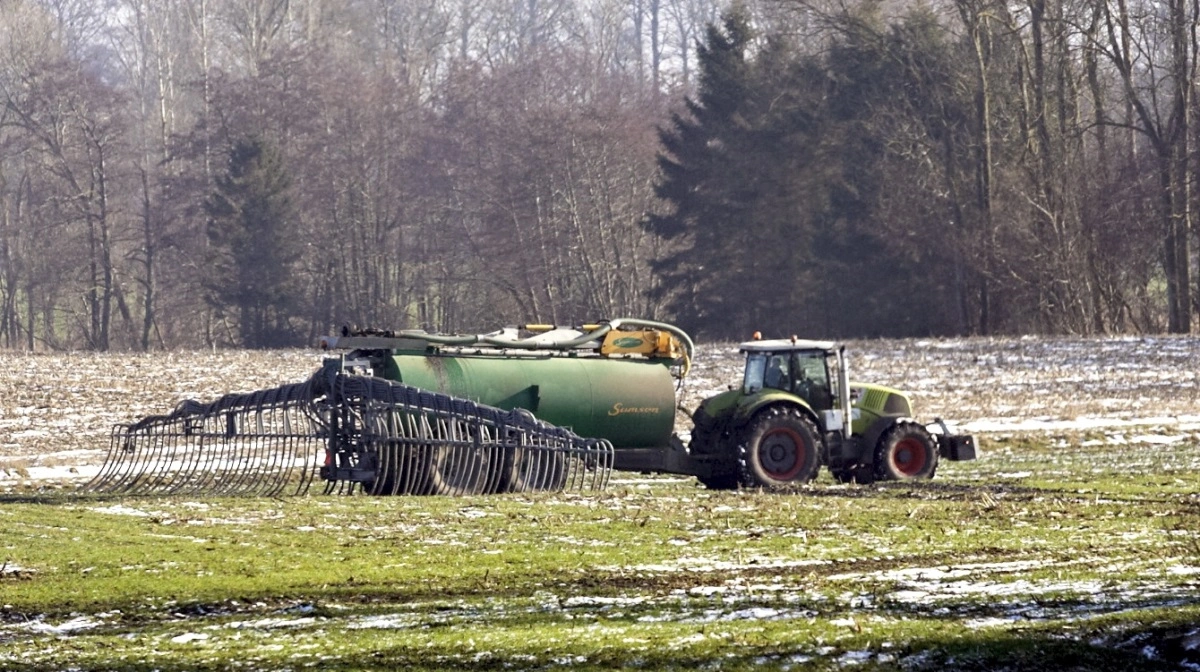 Det er tilladt at udbringe husdyrgødning på nattefrossen jord, forudsat at jorden forventes at optø i løbet af dagen. Arkivfoto: Erik Hansen