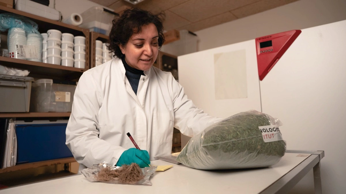 - Vi har vist et potentiale, men der er stadig brug for mere viden om, hvordan disse strategier fungerer under forskellige europæiske forhold. Det kræver samarbejde på tværs af lande og sektorer, siger faglig leder Arezoo Taghizadeh Toosi, Teknologisk Institut. Foto: Teknologisk Institut