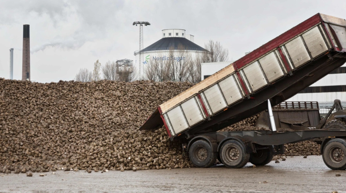 Nordzucker ejer danske Nordic Sugar. Arkivfoto: Nordic Sugar