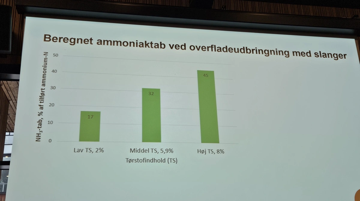 Beregnet ammoniaktab ved overfladeudbringning med slanger. Her fremgår det tydeligt, at tabet er højest ved højt tørstofindhold.