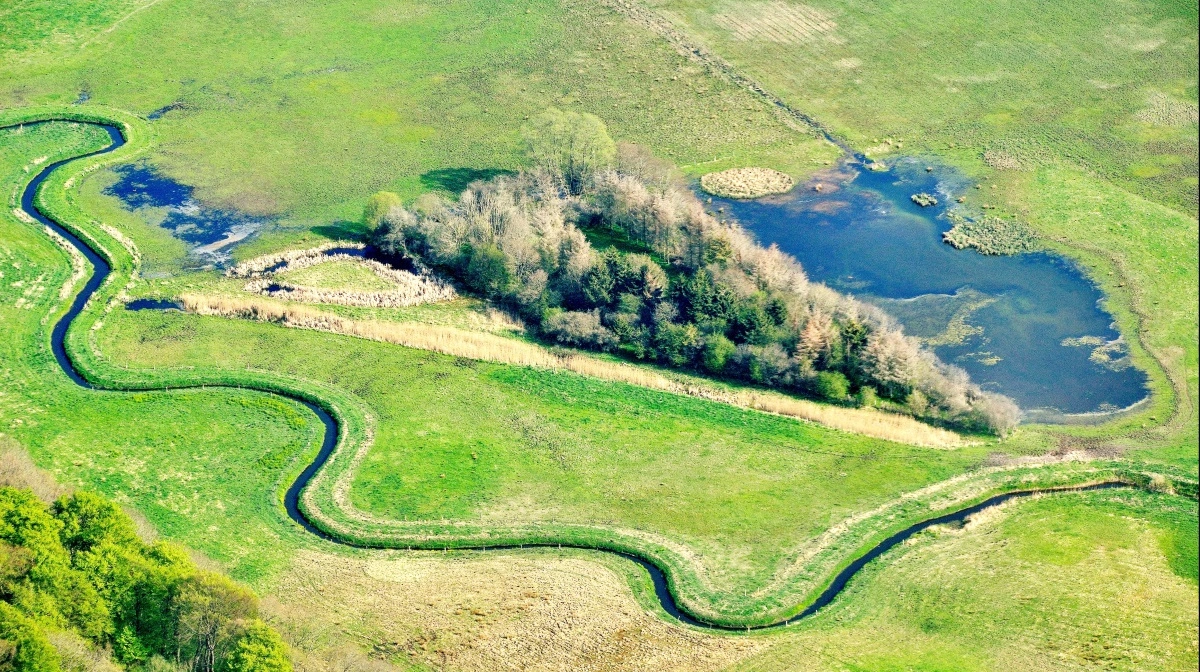 Den faktiske udledning af kvælstof til åer og vandløb i Danmark har været faldende i de seneste tre år. Modelfoto: Colourbox