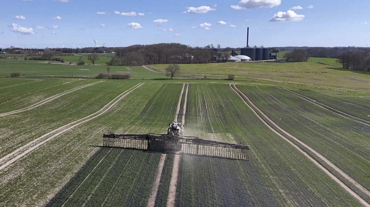 Biogasgylle varierer meget i kvalitet og sammensætning både fra anlæg til anlæg, men også fra det enkelte anlæg over tid. Arkivfoto: Erik Hansen