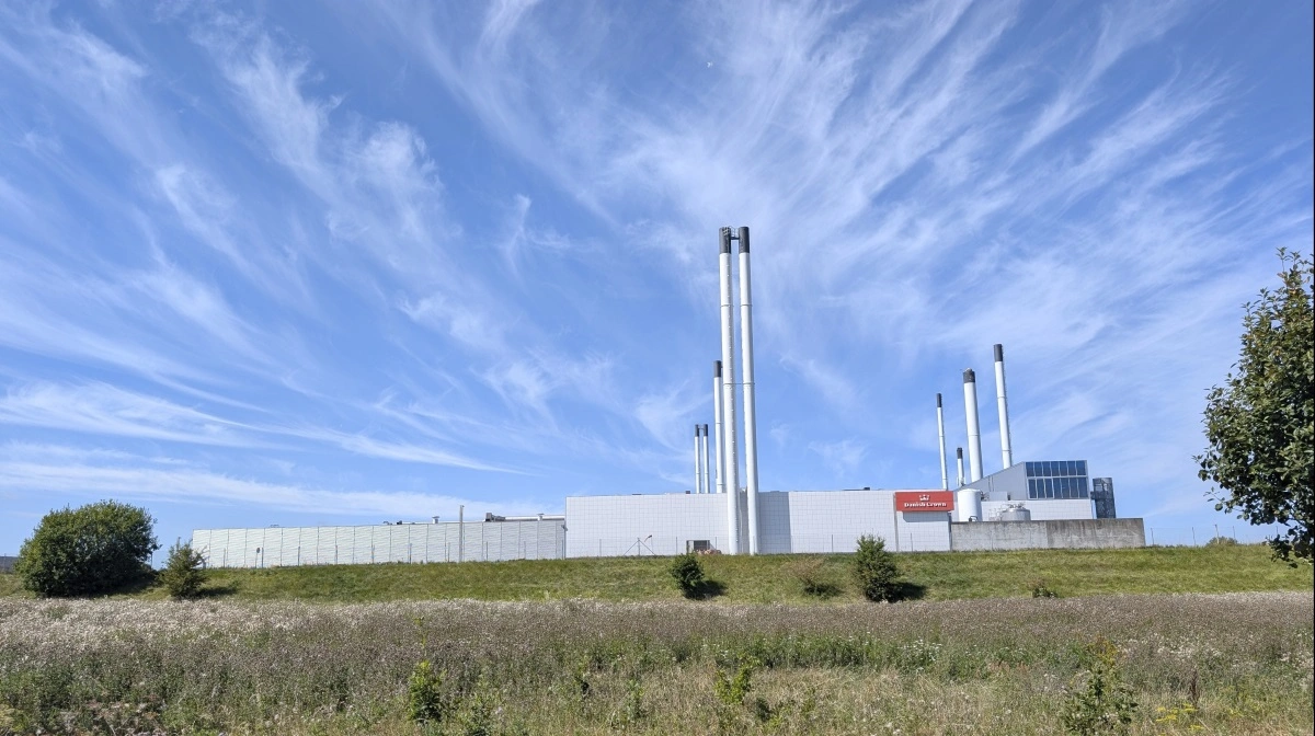 Der bliver slagtet på livet løs på de europæiske svineslagterier, også hos Danish Crown (billedet). Arkivfoto; Erik Hansen