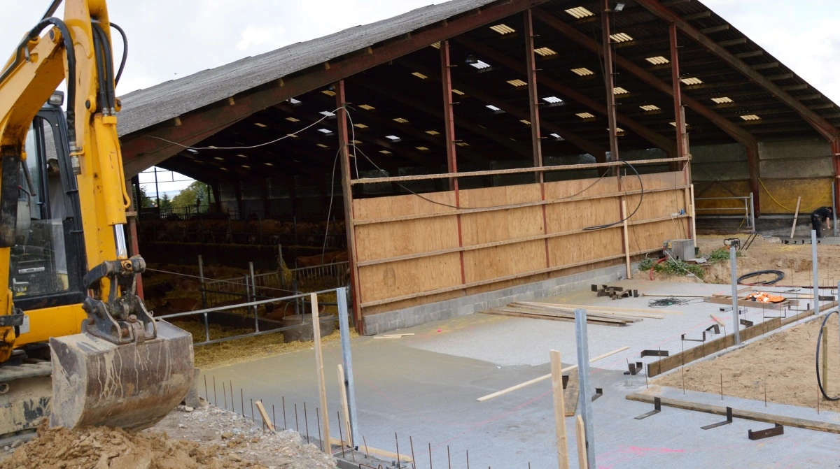 En renovering kan betyde en ny byggetilladelse, hvor den eksisterende stald også skal leve op til de kommende 2034-krav. Arkivfoto: Camilla Bønløkke