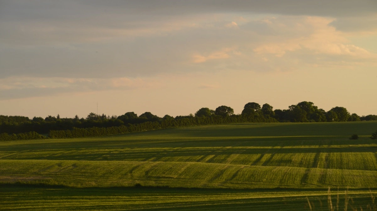 Lav byggeaktivitet og få byggetilladelser skaber langvarig udbudsmangel, som kan holde ejendoms- og jordpriser høje i 6-8 år. Arkivfoto