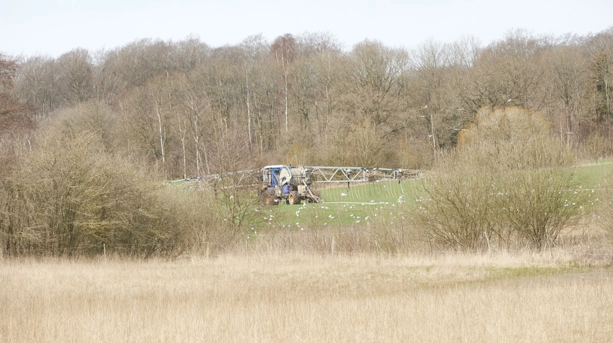 Miljøreguleringen af landbruget sker i dag i vidt omfang gennem bekendtgørelser, som ifølge læserbrevets afsender har stor betydning for driften i det åbne land. Arkivfoto: Erik Hansen