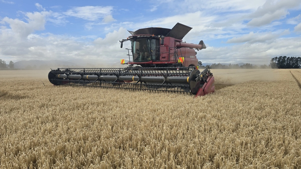 Det er første høstdag også for den fabriksnye Case IH 9250.