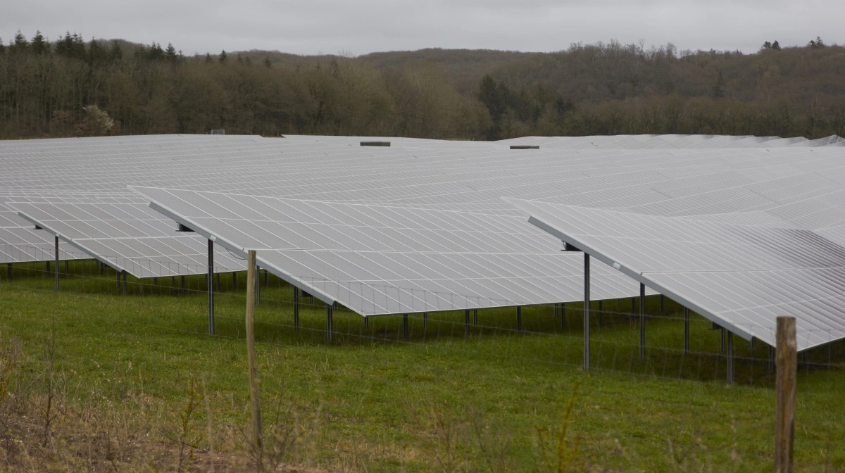 Christoffer Hage har sat planener om et stort vedvarende energiprojekt med fire vindmøller, op mod 86 hektar solceller og en batteripark til omkring en milliard i bero. Arkivfoto: Tenna Bang