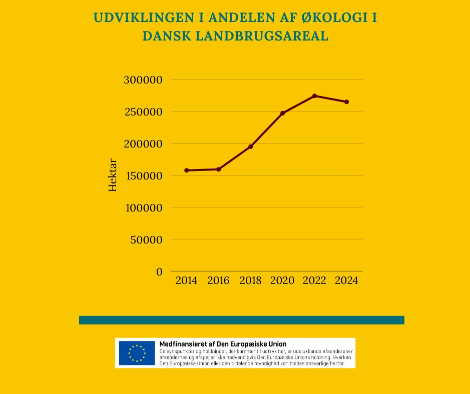 For nuværende er omkring 17 procent af det danske landbrugsareal økologisk. 