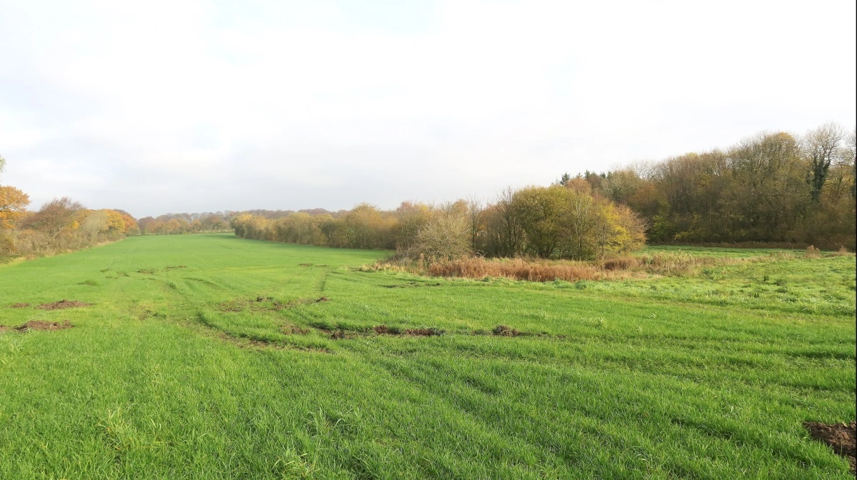 Der bliver længere og længere imellem traditionelt opdyrkede marker i Danmark. Siden 2011 er landbrugsarealet blevet næsten 1000 kvadratkilometer mindre. Arkivfoto: Henning K. Andersen