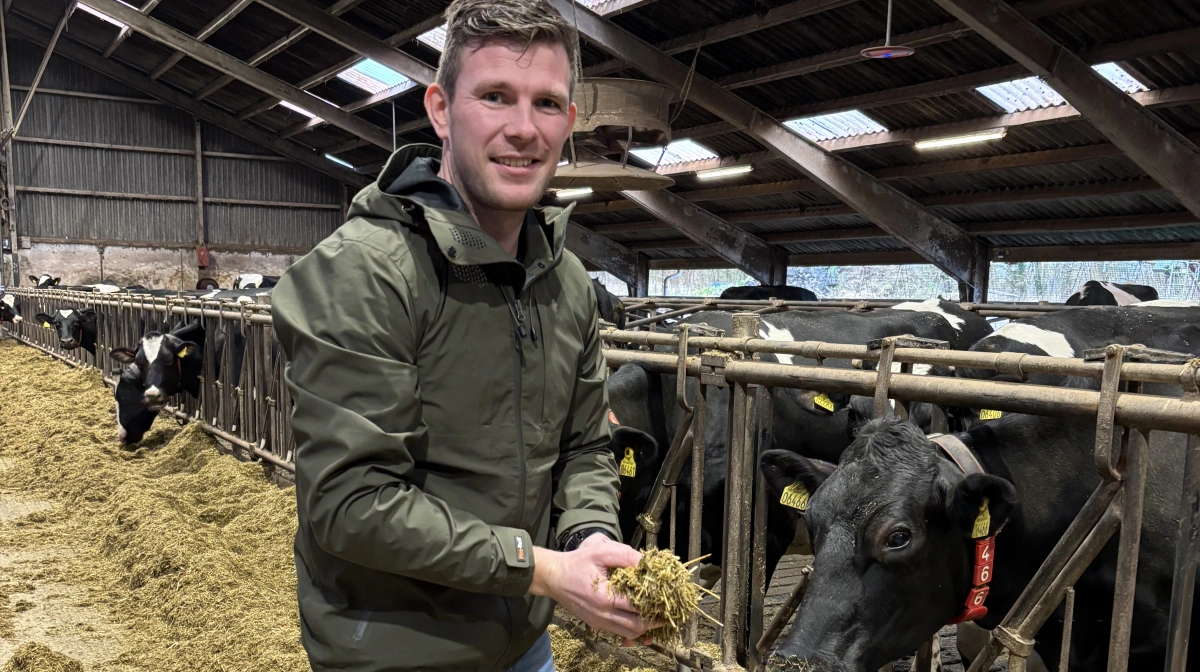 - I besætninger, der blev fodret med Nutritek, så vi en tydelig reduktion i salmonellaantistoffer, mellem forsøgs- og kontrolgrupper, selv i besætninger med lavt salmonellaniveau. Samtidig blev udsvingene mindre og mælkeydelsen var generelt højere, siger Katrinus Zijlstra, kvægspecialist hos 3S a/s.