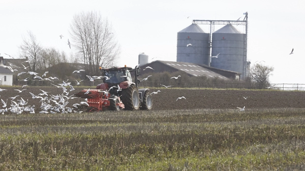 Prisen på landbrugsjord er stigende både i Danmark og i flere andre lande i EU. 
Arkivfoto