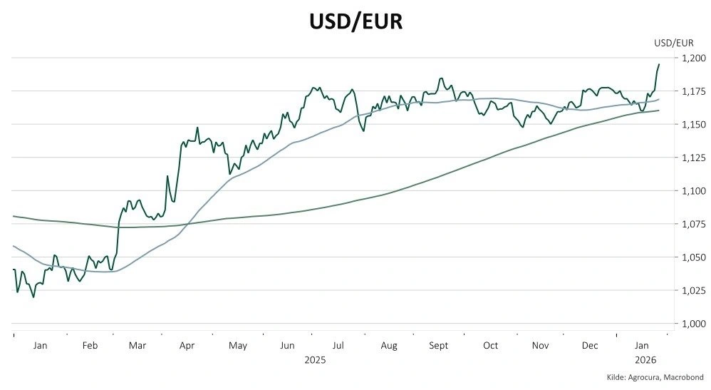 De seneste par års udvikling i forholdet mellem dollar og euro.