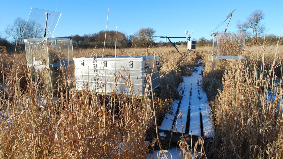 Bo Elberling og hans kolleger har studeret Maglemosen 20 kilometer nord for København - en mose som har fået lov at passe sig selv i over 100 år, og som på mange måder er repræsentativ for lavbundsjorde i resten af Danmark. Foto: Bo Elberling