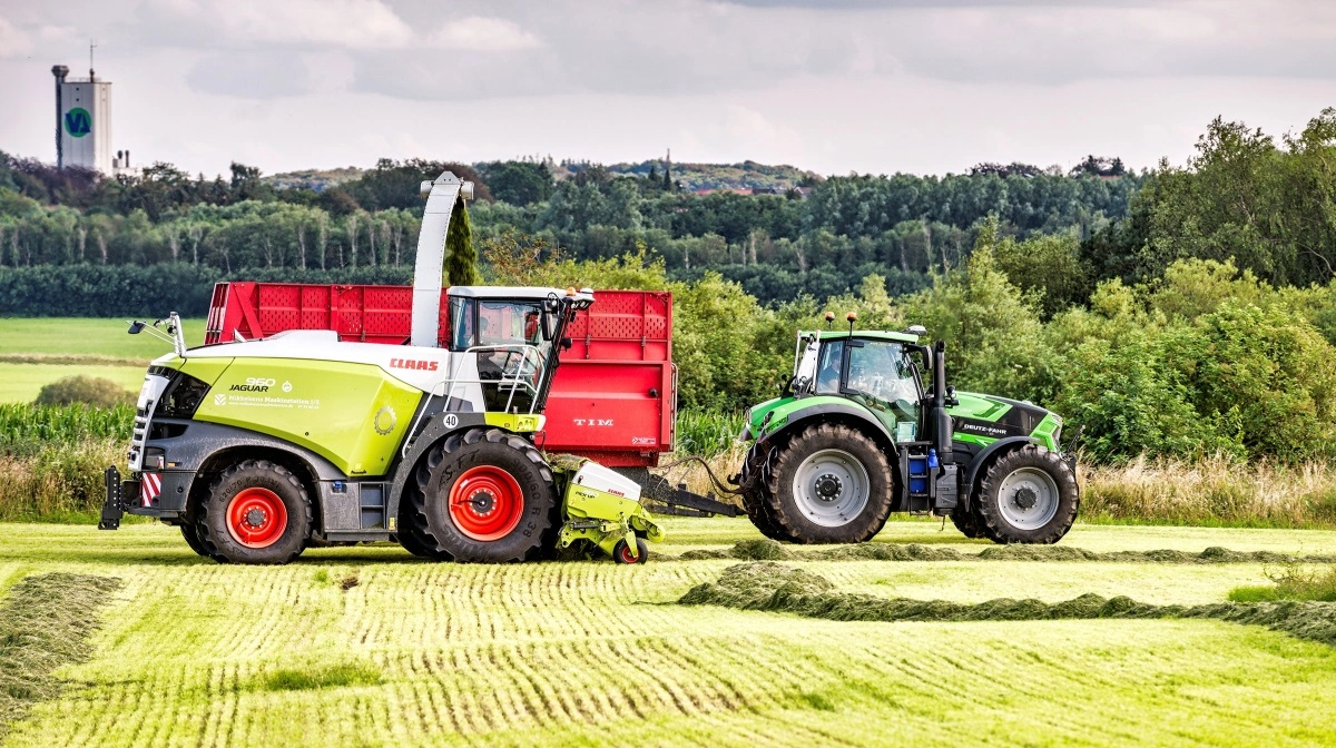 De første resultater fra forskningsprojektet GrassProtein viser ifølge Seges, at flerårige græsafgrøder kan producere store mængder protein og grovfoder og dermed potentielt kan blive et alternativ til importeret soja og en del af den majs, der i dag dyrkes til foder. Arkivfoto