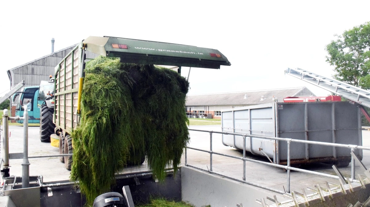 Her ses et billede fra Aarhus Universitets græsraffineringsanlæg. Arkivfoto: Henning K. Andersen
