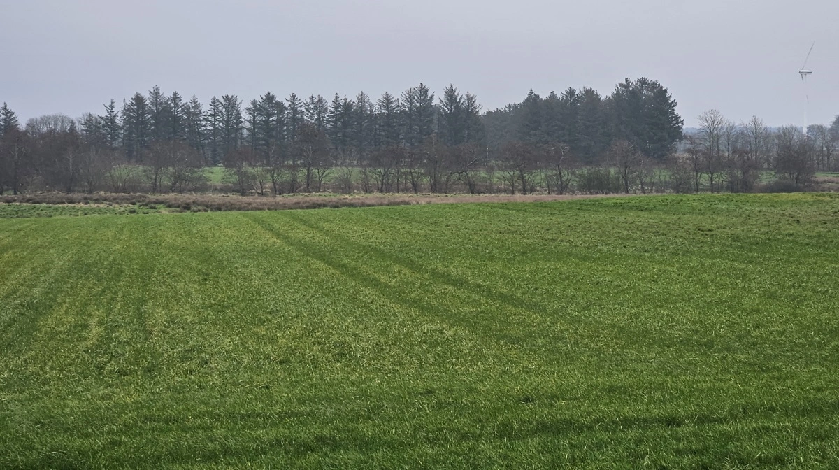 Seks landbrugsejendomme med 285.6 hektar jord i Vejle Kommune er blevet solgt for 50 millioner kroner. Arkivfoto: Henriette Lemvig