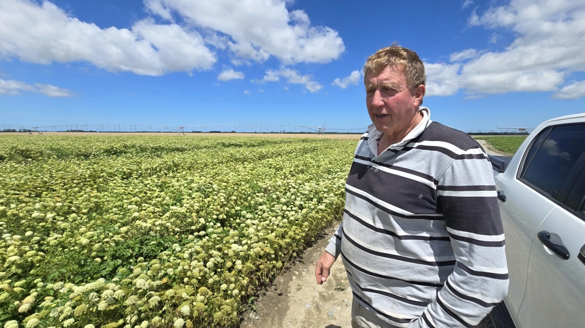 Foto: Jørgen P. Jensen