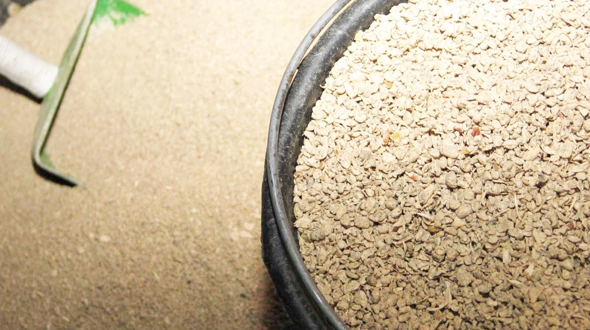 Arkivfoto: Anne Wolfenberg