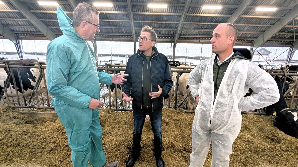 Det har langt fra været et særsyn at se Henrik Frandsen (M) i en stald under sin tid som ordfører for partiet på landsbrugsområdet. Her er han (t.v.) fanget under et besøg på en gård i Sønderjylland, hvor han i sin tid også blev valgt ind som medlem af Folketinget. Arkivfoto: Spiras