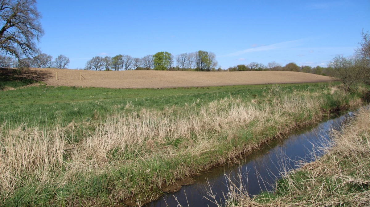 Landboforeningerne Midtjylland, Holstebro Struer, Herning-Ikast, Vestjysk og Fjordland er enige om, at der er brug for en ændring af Landbrugsloven. Arkivfoto: Morten Ipsen