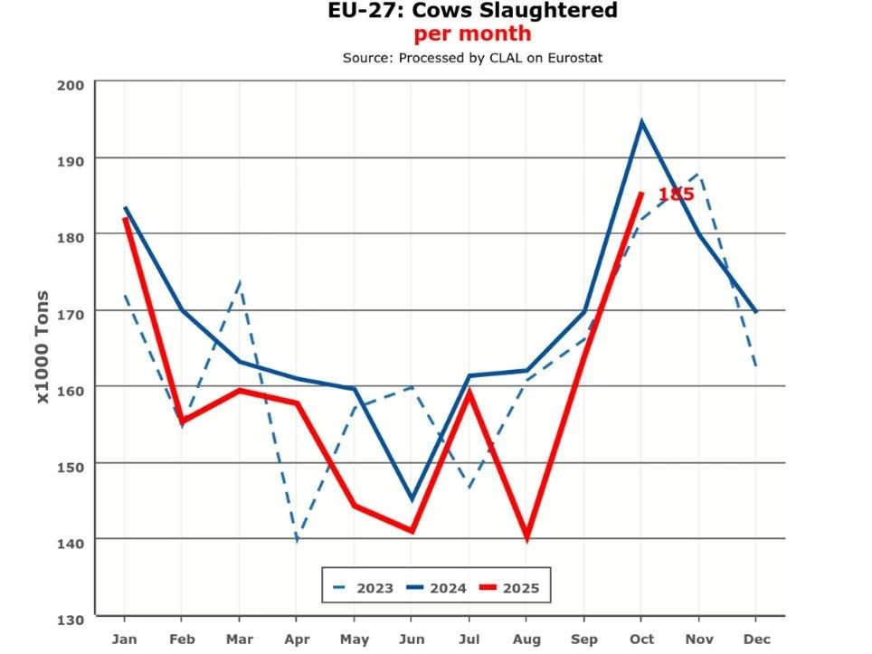 Figur 2: Udvikling i antal slagtninger i 2023 (stiplet), 2024 (blå) og 2025 (rød). Kilde: Clal.it. 