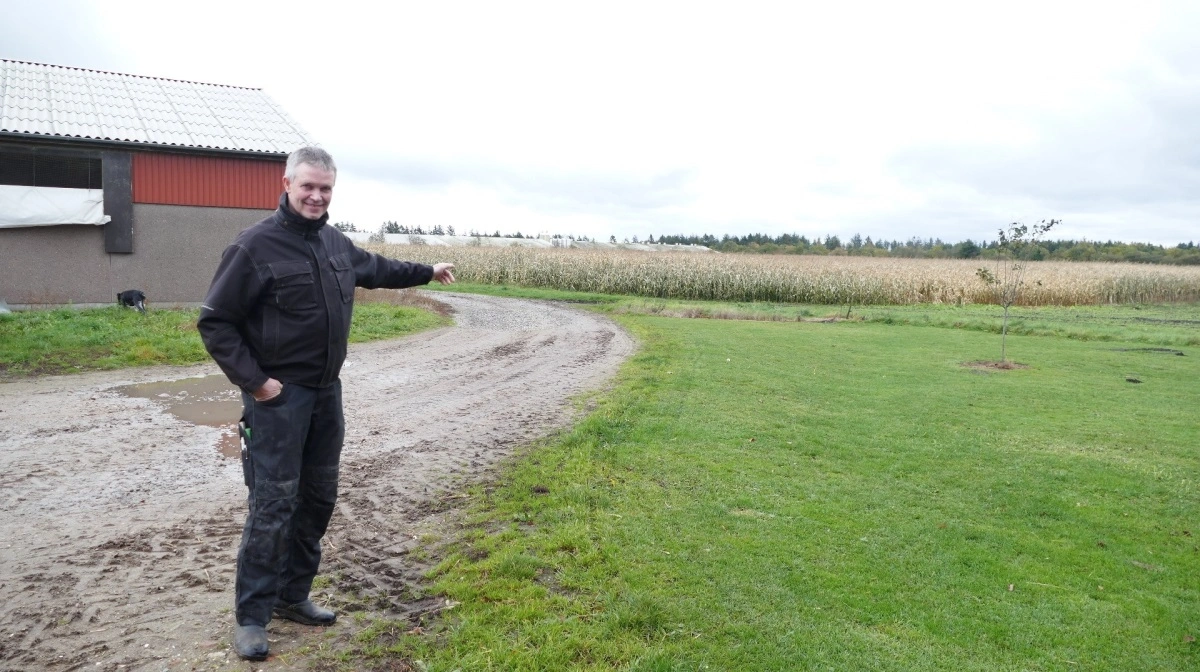 For nogle år siden kørte der ved fyraftenstid en fremmed bil rundt om Claus Bruun Jørgensens staldanlæg. Næste morgen fandt personalet efterladte overtrækssko i stalden. Arkivfoto 