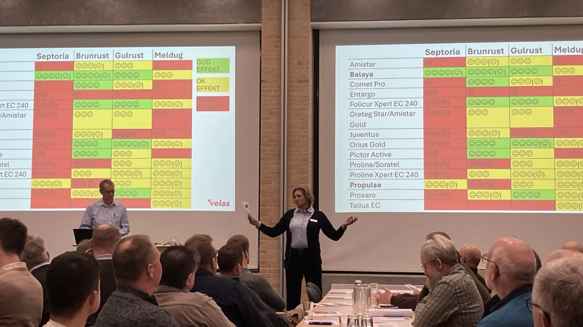 80 landmænd var mødt op til Velas Planteforum i Vissenbjerg, hvor blandt andet muligheden for effektive fungicidbehandlinger blev gennemgået. Foto: Velas