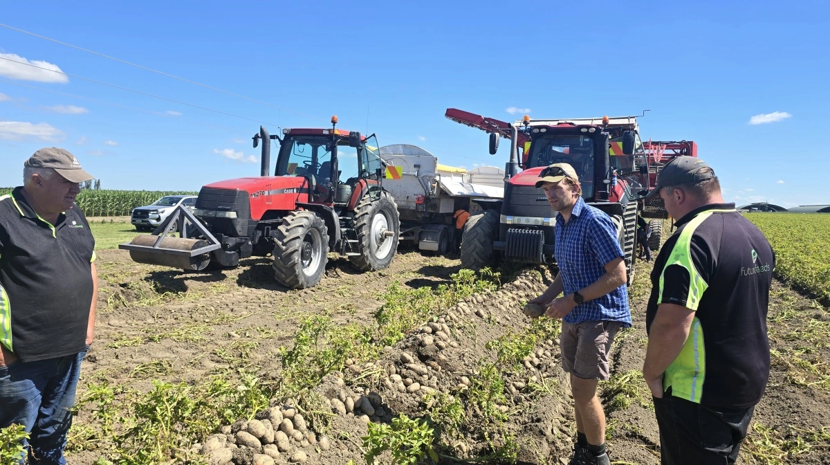 Andrew Scott (i midten) er driftsleder på Hewson Farms og drøfter her maskinstoppet på kartoffeloptageren med det lokale servicefirmas folk. Fotos: Jørgen P. Jensen